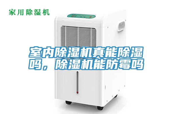 室內(nèi)除濕機(jī)真能除濕嗎，除濕機(jī)能防霉嗎