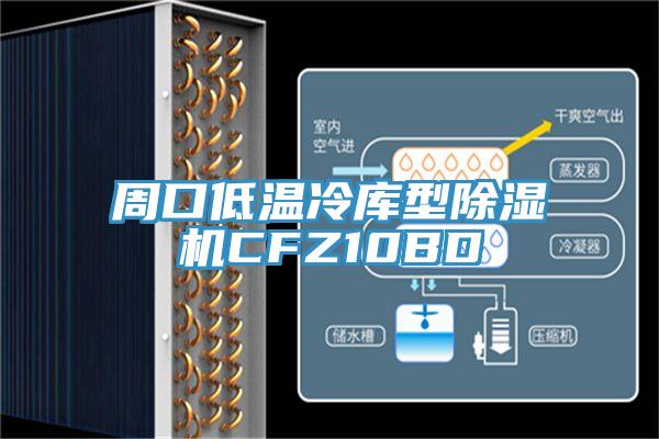 周口低溫冷庫(kù)型除濕機(jī)CFZ10BD