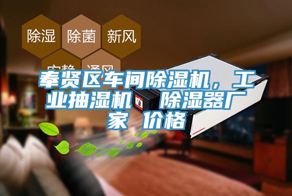 奉賢區(qū)車間除濕機(jī)，工業(yè)抽濕機(jī)  除濕器廠家 價(jià)格