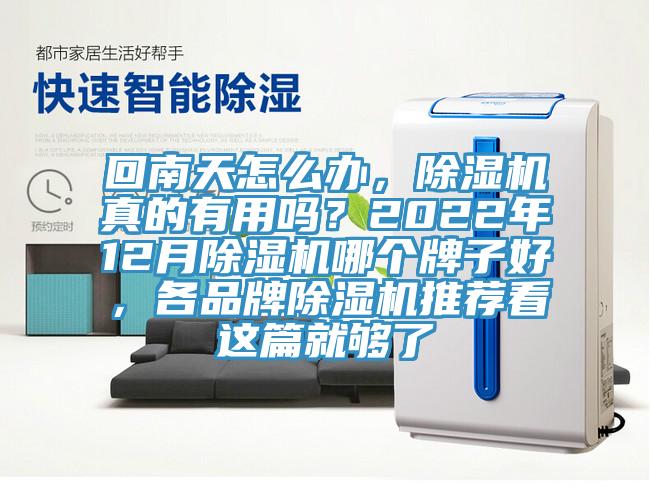回南天怎么辦，除濕機真的有用嗎？2022年12月除濕機哪個牌子好，各品牌除濕機推薦看這篇就夠了