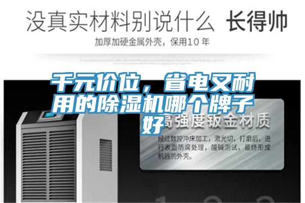 千元價位，省電又耐用的除濕機哪個牌子好