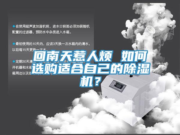 回南天惹人煩 如何選購適合自己的除濕機？