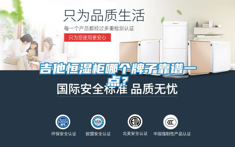吉他恒濕柜哪個(gè)牌子靠譜一點(diǎn)？