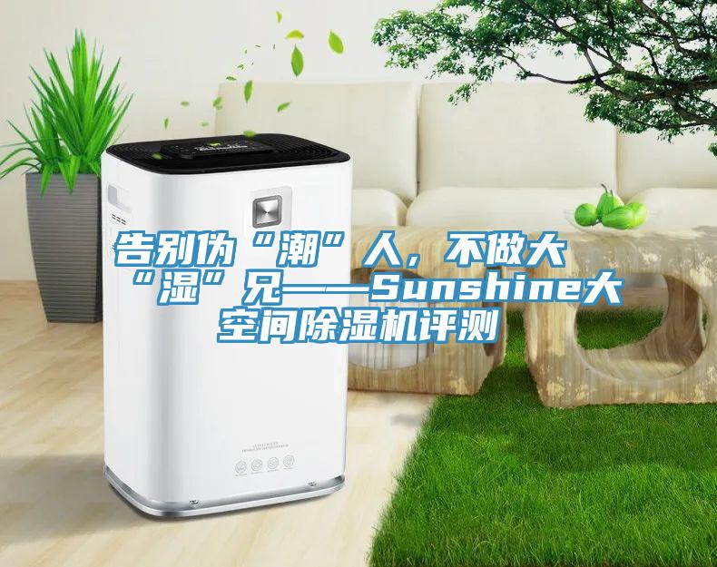 告別偽“潮”人，不做大“濕”兄——Sunshine大空間除濕機(jī)評(píng)測(cè)
