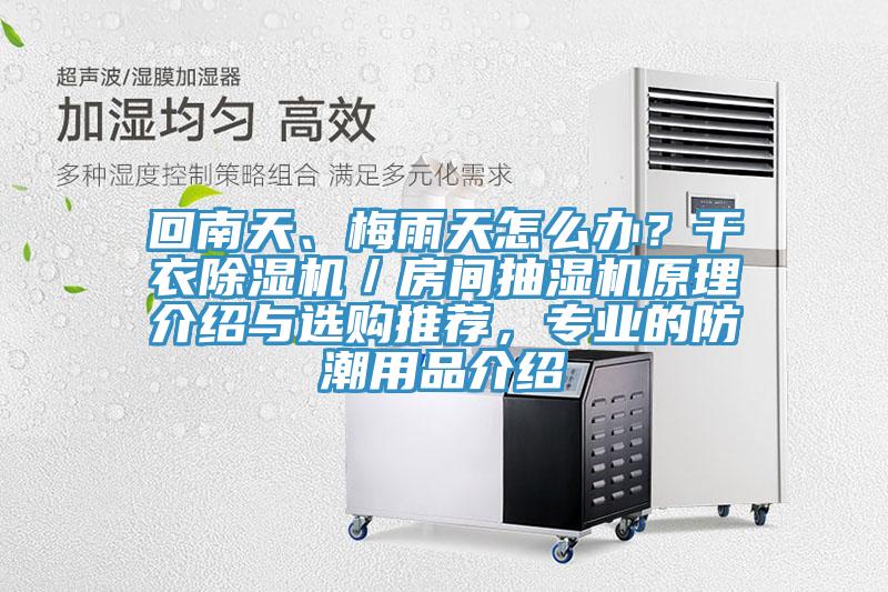 回南天、梅雨天怎么辦？干衣除濕機／房間抽濕機原理介紹與選購?fù)扑]，專業(yè)的防潮用品介紹