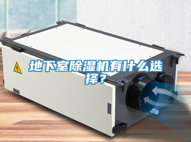 地下室除濕機(jī)有什么選擇？