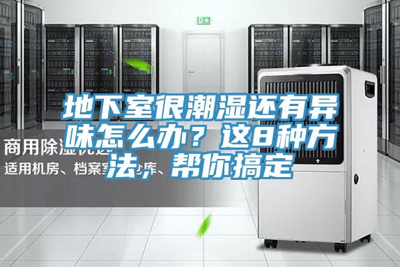 地下室很潮濕還有異味怎么辦？這8種方法，幫你搞定