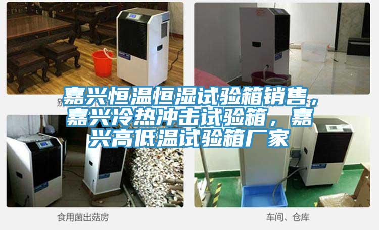 嘉興恒溫恒濕試驗(yàn)箱銷(xiāo)售，嘉興冷熱沖擊試驗(yàn)箱，嘉興高低溫試驗(yàn)箱廠(chǎng)家