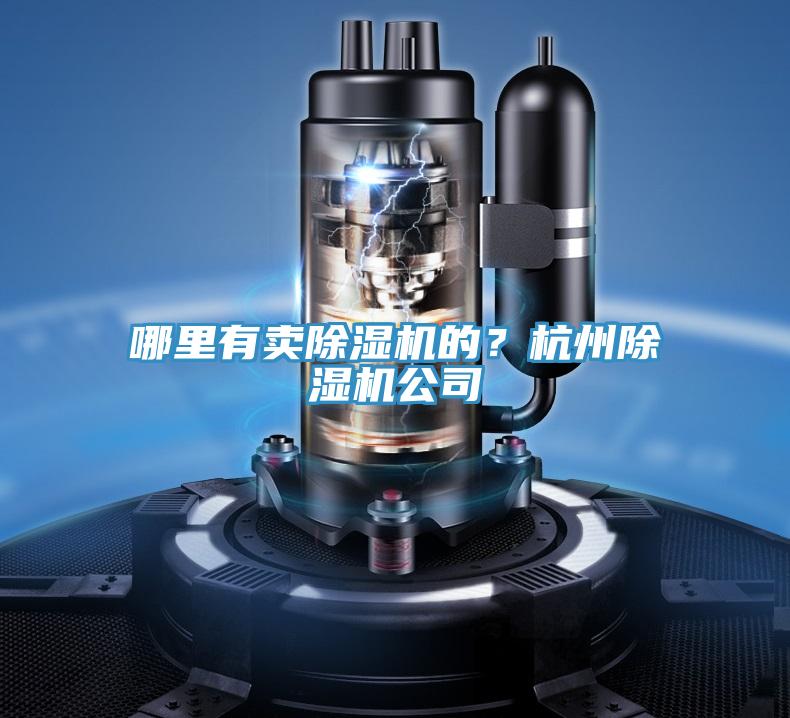 哪里有賣除濕機的？杭州除濕機公司
