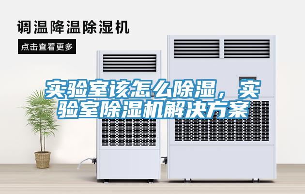 實(shí)驗(yàn)室該怎么除濕，實(shí)驗(yàn)室除濕機(jī)解決方案
