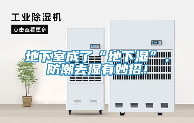 地下室成了“地下濕”，防潮去濕有妙招！