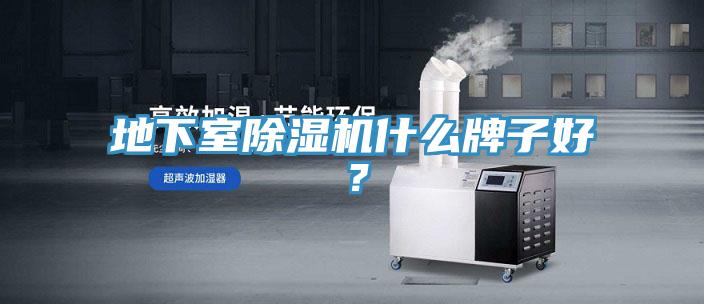 地下室除濕機(jī)什么牌子好？