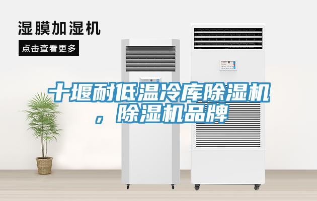 十堰耐低溫冷庫(kù)除濕機(jī)，除濕機(jī)品牌