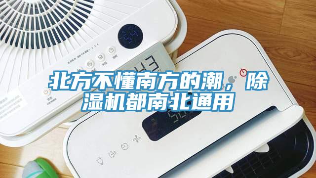 北方不懂南方的潮，除濕機(jī)都南北通用