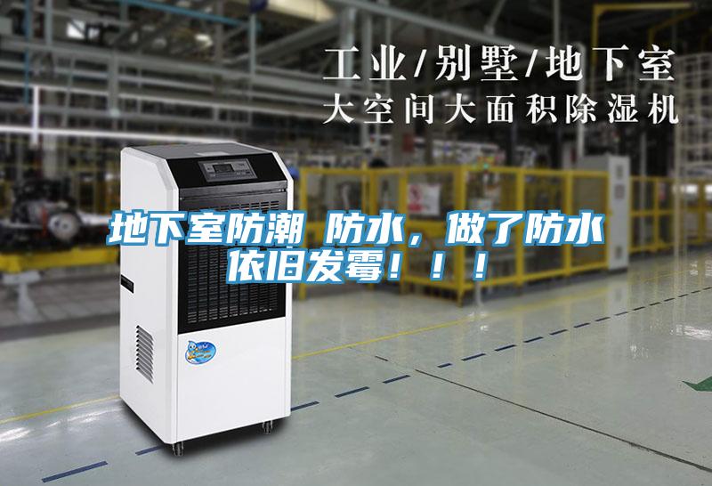 地下室防潮≠防水，做了防水依舊發(fā)霉！??！