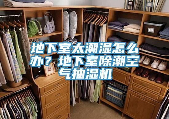 地下室太潮濕怎么辦？地下室除潮空氣抽濕機(jī)