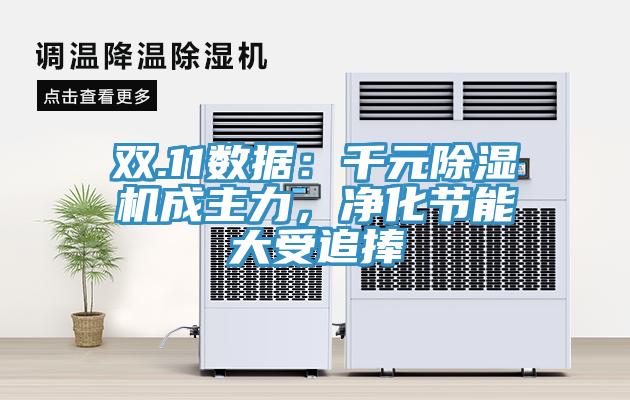 雙.11數(shù)據(jù)：千元除濕機(jī)成主力，凈化節(jié)能大受追捧