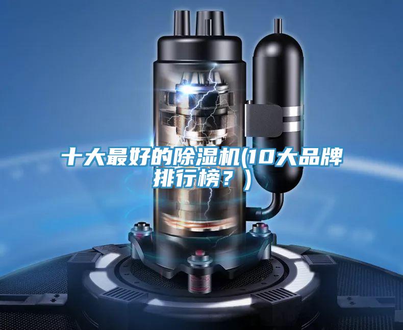 十大最好的除濕機(jī)(10大品牌排行榜？)