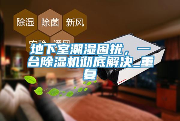 地下室潮濕困擾，一臺(tái)除濕機(jī)徹底解決_重復(fù)