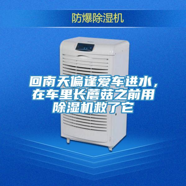 回南天偏逢愛車進水，在車?yán)镩L蘑菇之前用除濕機救了它