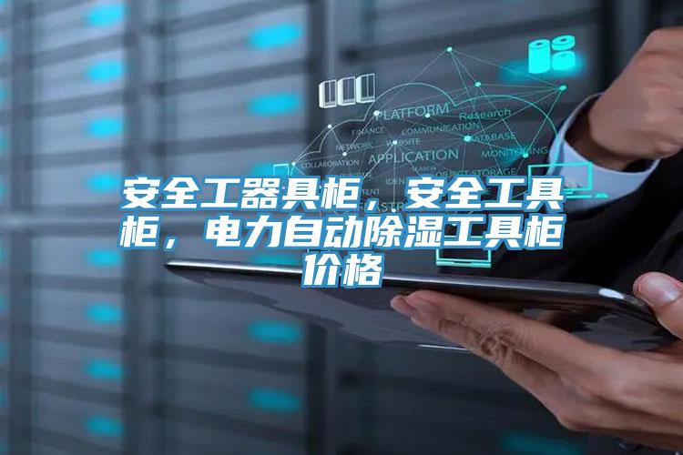 安全工器具柜，安全工具柜，電力自動除濕工具柜價格