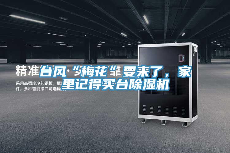 臺(tái)風(fēng)“梅花”要來(lái)了，家里記得買臺(tái)除濕機(jī)