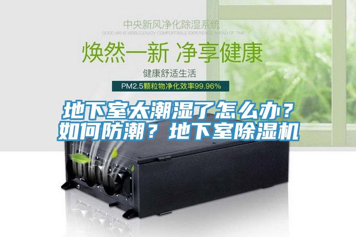 地下室太潮濕了怎么辦？如何防潮？地下室除濕機(jī)