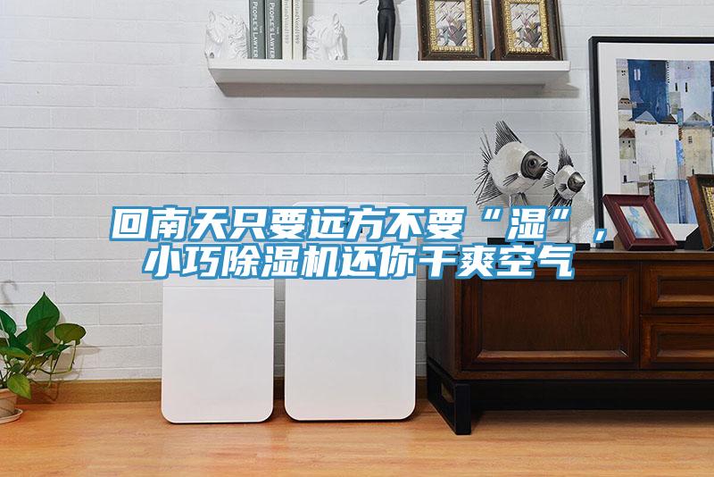 回南天只要遠方不要“濕”，小巧除濕機還你干爽空氣