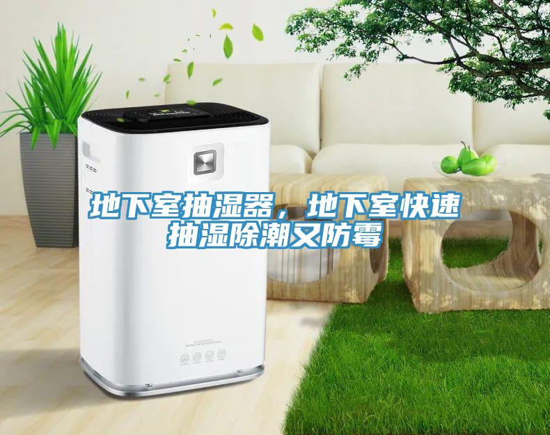 地下室抽濕器，地下室快速抽濕除潮又防霉