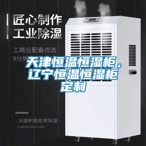 天津恒溫恒濕柜，遼寧恒溫恒濕柜定制