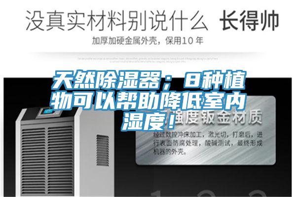 天然除濕器；8種植物可以幫助降低室內(nèi)濕度！