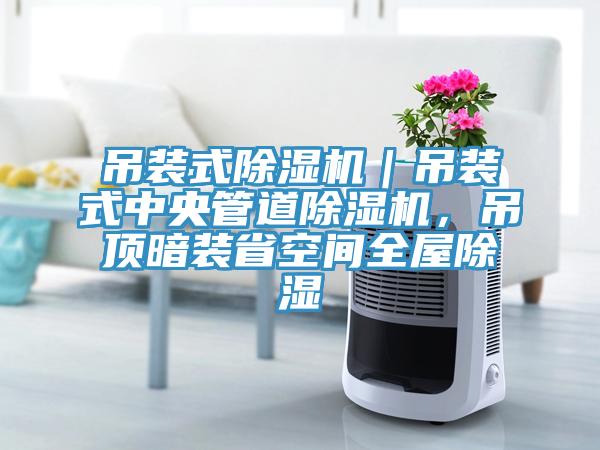 吊裝式除濕機(jī)｜吊裝式中央管道除濕機(jī)，吊頂暗裝省空間全屋除濕