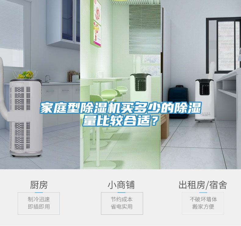 家庭型除濕機(jī)買(mǎi)多少的除濕量比較合適？