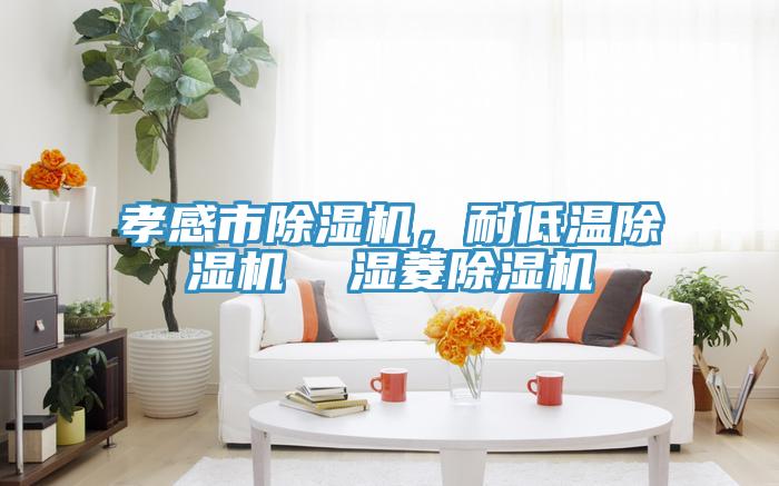 孝感市除濕機(jī)，耐低溫除濕機(jī)  濕菱除濕機(jī)