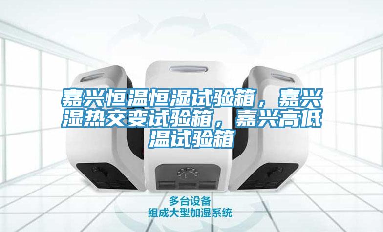 嘉興恒溫恒濕試驗(yàn)箱，嘉興濕熱交變?cè)囼?yàn)箱，嘉興高低溫試驗(yàn)箱