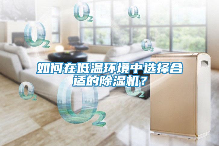 如何在低溫環(huán)境中選擇合適的除濕機(jī)？