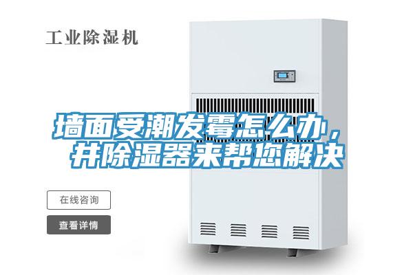 墻面受潮發(fā)霉怎么辦，東井除濕器來幫您解決