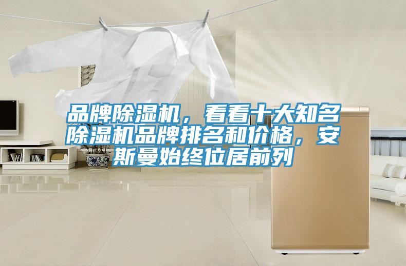 品牌除濕機(jī)，看看十大知名除濕機(jī)品牌排名和價(jià)格，安斯曼始終位居前列