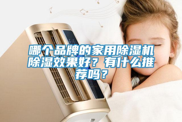 哪個品牌的家用除濕機(jī)除濕效果好？有什么推薦嗎？