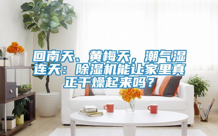 回南天、黃梅天，潮氣濕連天：除濕機能讓家里真正干燥起來嗎？