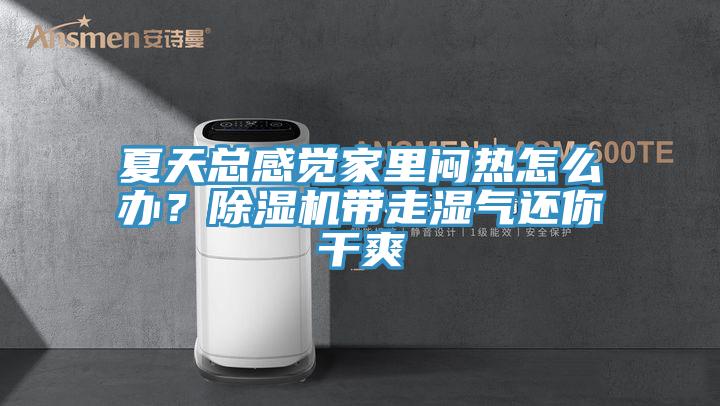 夏天總感覺家里悶熱怎么辦？除濕機帶走濕氣還你干爽