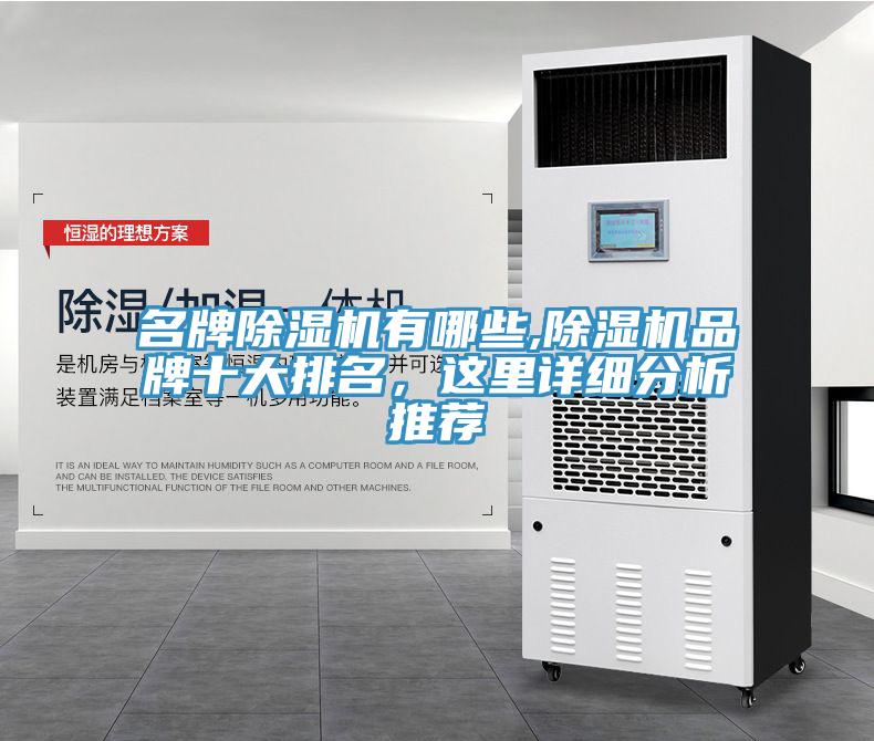 名牌除濕機有哪些,除濕機品牌十大排名，這里詳細分析推薦