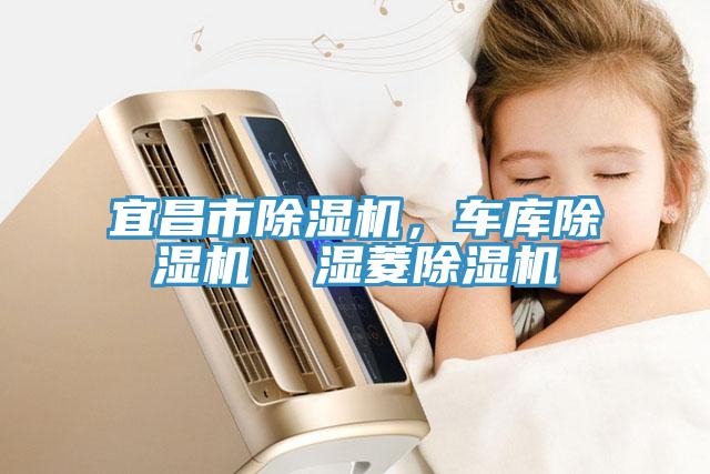 宜昌市除濕機(jī)，車庫除濕機(jī)  濕菱除濕機(jī)