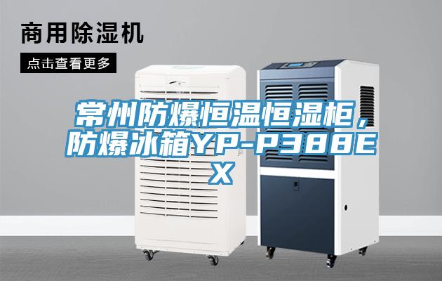 常州防爆恒溫恒濕柜，防爆冰箱YP-P388EX