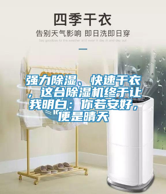強(qiáng)力除濕、快速干衣，這臺(tái)除濕機(jī)終于讓我明白：你若安好，便是晴天