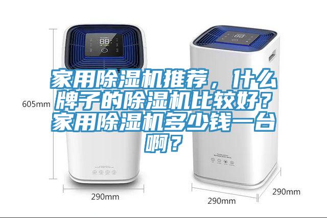 家用除濕機(jī)推薦，什么牌子的除濕機(jī)比較好？家用除濕機(jī)多少錢(qián)一臺(tái)啊？