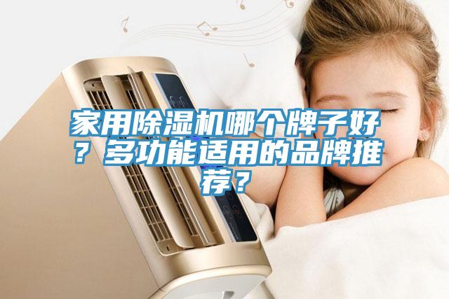 家用除濕機(jī)哪個(gè)牌子好？多功能適用的品牌推薦？