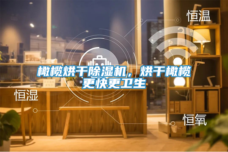 橄欖烘干除濕機(jī)，烘干橄欖更快更衛(wèi)生