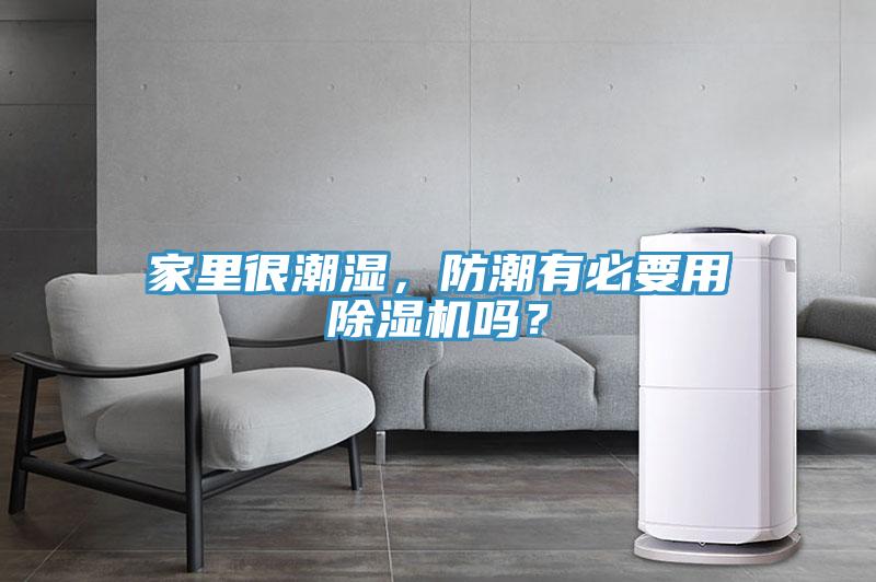 家里很潮濕，防潮有必要用除濕機(jī)嗎？