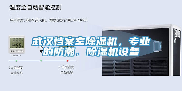 武漢檔案室除濕機，專業(yè)的防潮、除濕機設備